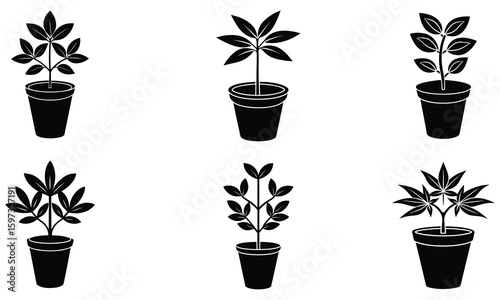 Potted Plants Simple Icons for Design Projects set