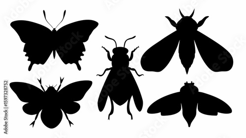 Silhouette illustration showing a butterfly, a fly, and three different moths in a simple composition | editable eps vectors