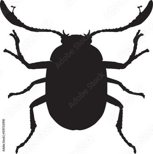 Flat black vector of a beetle from top view