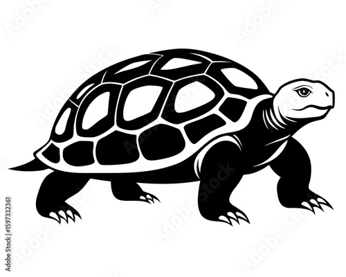 black vector Detailed turtle silhouette, highlighting its shell pattern and reptile features on a white background, showcasing the animal's form
