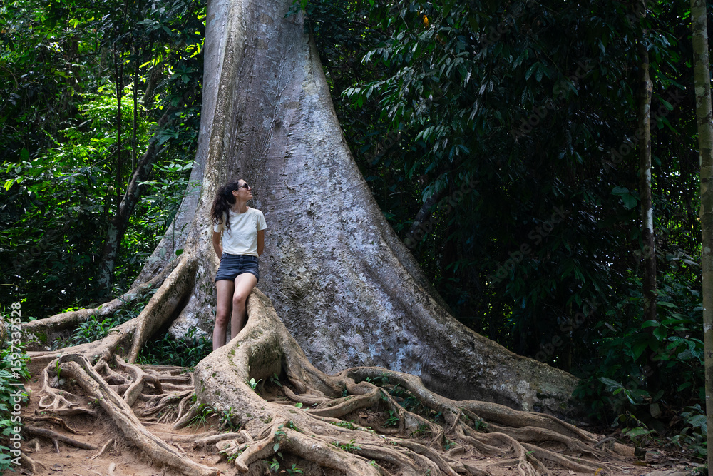 Fototapeta premium Tourist admiring majestic giant tree in lush tropical rainforest