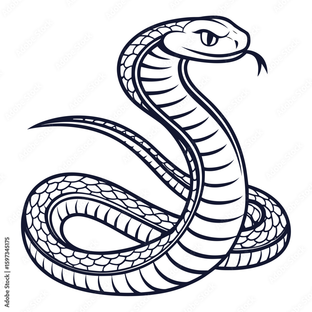 Fototapeta premium Coiled Dark Blue Snake Line Art Wildlife Drawing White Background