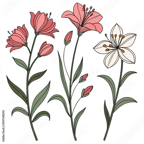 Three stylized floral stems pink white flowers green leaves
