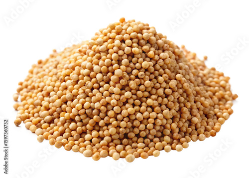 Sorghum seeds isolated on white background