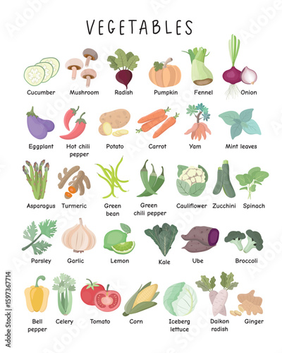Vegetables Vocabulary Poster – Illustrated Learning Chart for Kids. Colorful educational poster featuring illustrations of vegetables with names. Great for kids' learning, schools, and kitchen decor