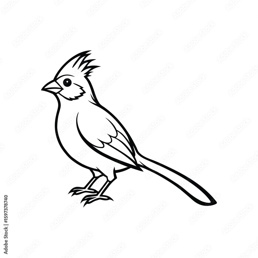 Obraz premium a mousebird bird line art silhouette vector illustration on white background