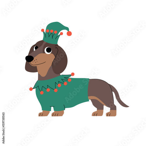 Cute cartoon dachshund dressed in a green elf costume with red pom-poms. Festive holiday pet illustration in flat style on a white background, perfect for Christmas themes. Vector illustration