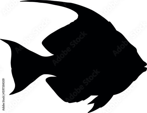 Black silhouette angelfish on white background