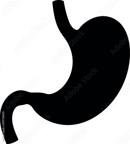 Black silhouette of human stomach anatomy
