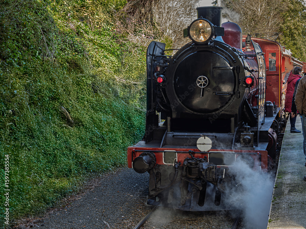 Fototapeta premium Steam Loco Front View Smoking