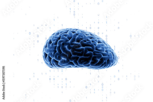 Blue brain model isolated on white with floating binary digits, clean abstrac...