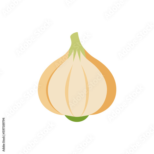 cartoon garlic bulb with cloves  vector style  