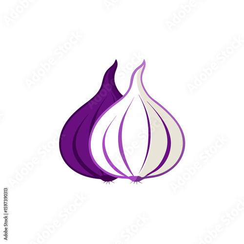 hand drawn organic garlic  white and purple  