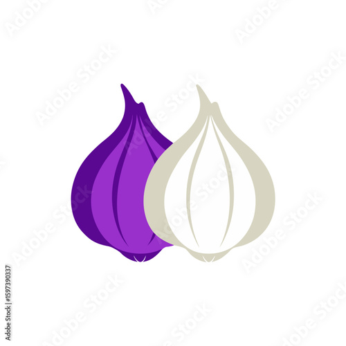 hand drawn organic garlic  white and purple  