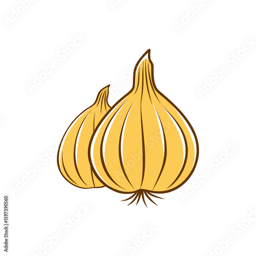 organic hand drawn garlic heads with cloves  vector