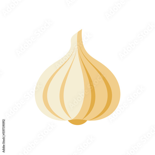 vector illustration of garlic with cloves  cartoon 