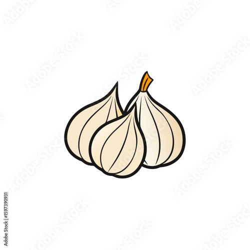 vector style hand drawn garlic heads with cloves  