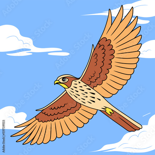 Illustration of a Island Thrush soaring in the sky with spread wings. Perfect for wildlife art, bird-themed prints, or educational use.