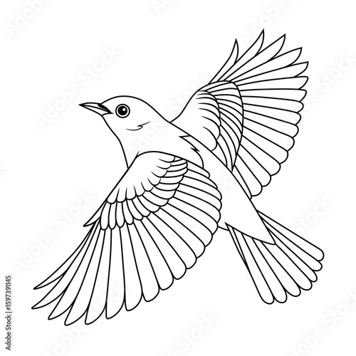 Stylized line art of a Orange Headed Thrush flying with wings spread. Great for coloring pages, tattoo designs, or bird-themed illustrations.