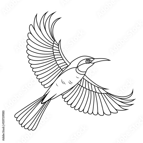 Stylized line art of a Brown Throated Sunbird flying with wings spread. Great for coloring pages, tattoo designs, or bird-themed illustrations.