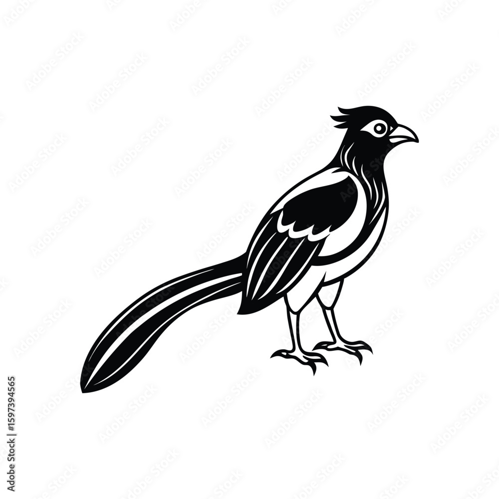 Fototapeta premium a trogon line art silhouette vector illustration on white background