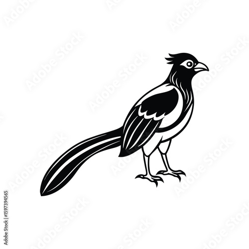 a trogon line art silhouette vector illustration on white background