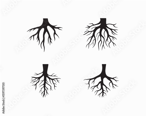 Tree Root Vector Illustration, Black and White, Three Styles, Isolated on White Background. Modern, abstract to detailed, realistic designs of tree roots, perfect for nature, ecology, botany themes