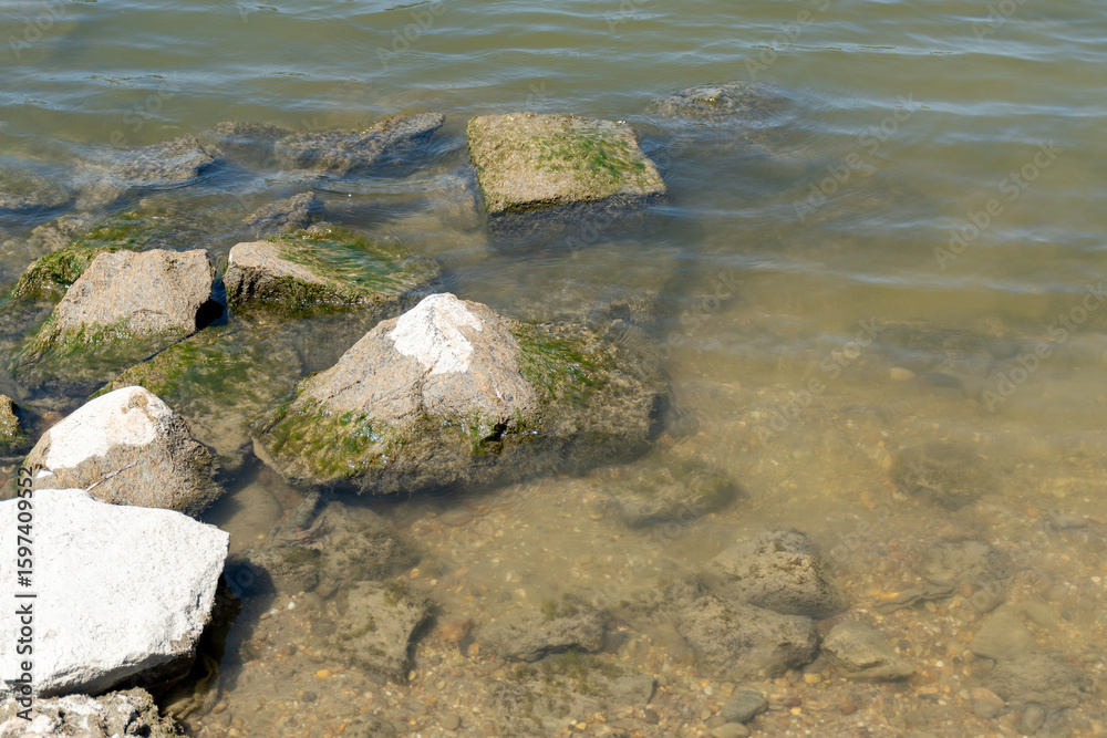 Fototapeta premium stones in the water