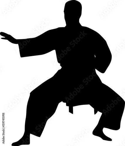 Man practicing karate or martial arts silhouette