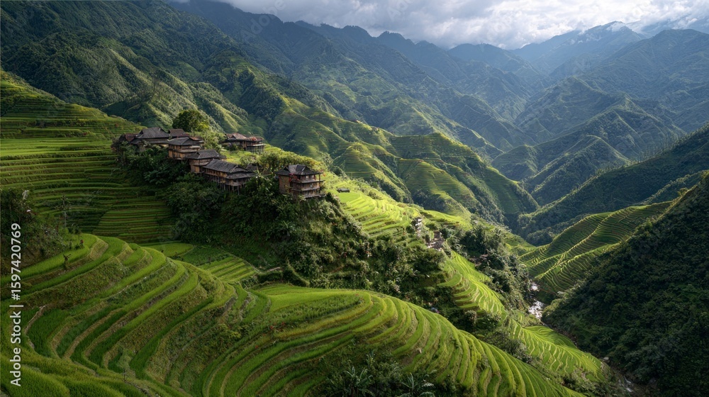 Fototapeta premium Terrace rice fields mountain landscape