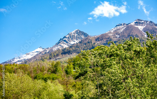 Wallpaper Mural A mountain range with snow on the top and trees in the foreground Torontodigital.ca