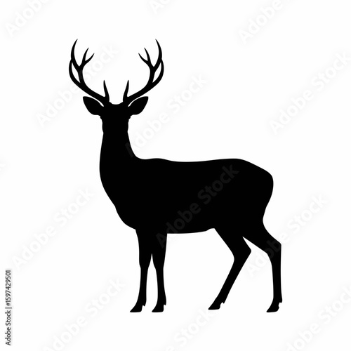 Majestic stag with antlers standing proudly silhouette isolated on white background