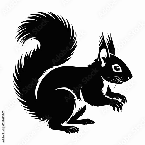 Detailed black silhouette of a squirrel with a bushy tail isolated on white background silhouette