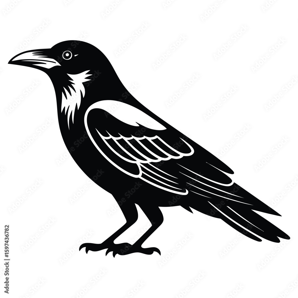 Fototapeta premium crow on a branch