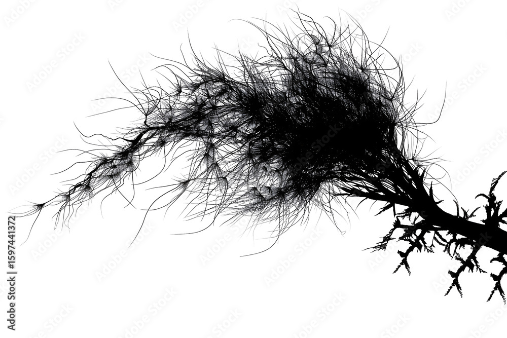 Fototapeta premium Abstract grayscale artwork resembling a chaotic plant or neural network,