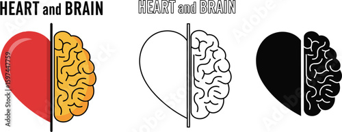 Heart and brain vector illustration concept for emotional intelligence and mental health balance design vector