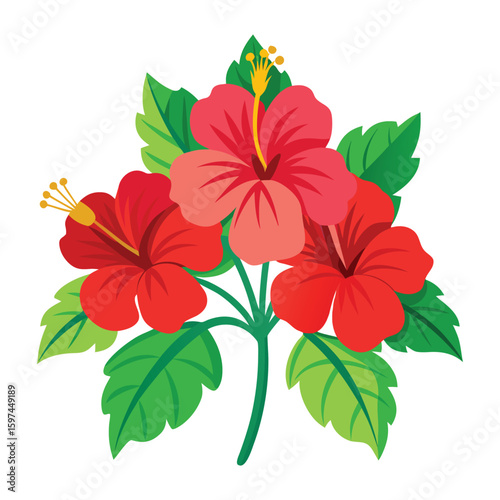 vector illustration of red hibiscus flowers.