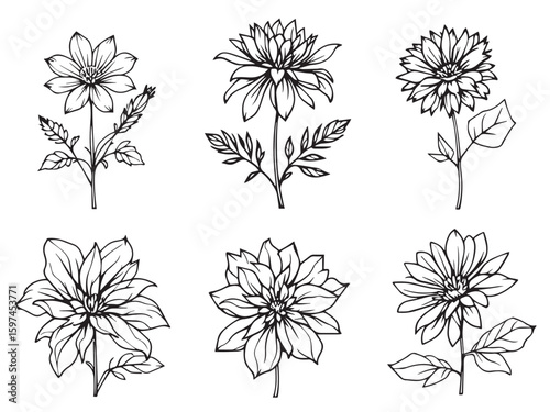 bee balm floral contour art