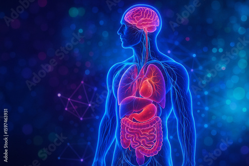 AI generated ultra detailed neon glowing human body with transparent anatomy showing brain heart lungs liver and intestines in a futuristic digital background
