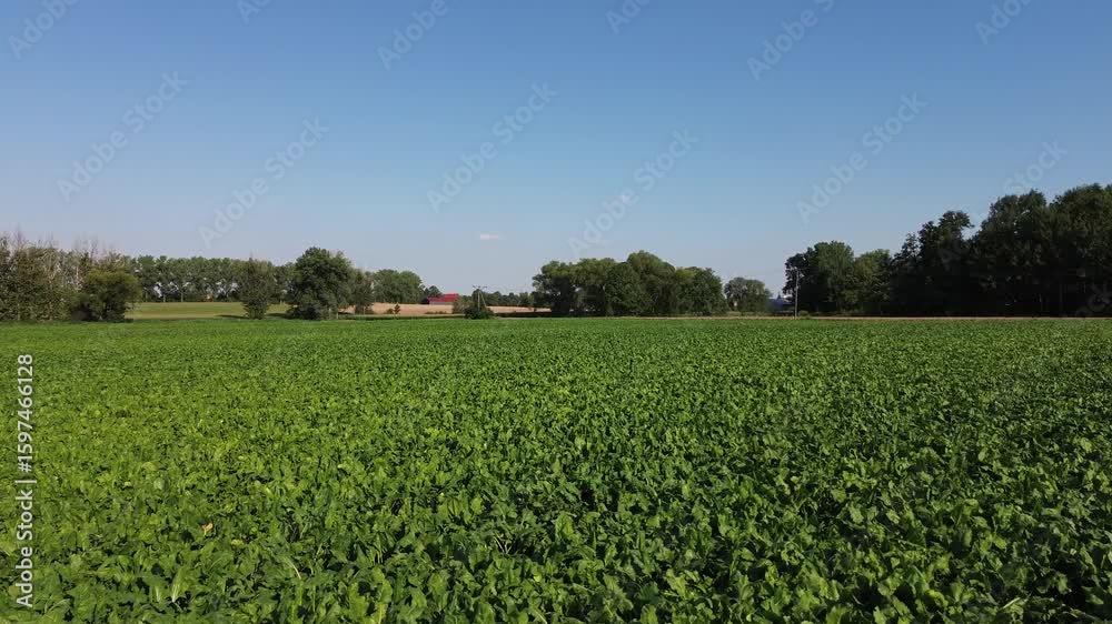 Farming Farming