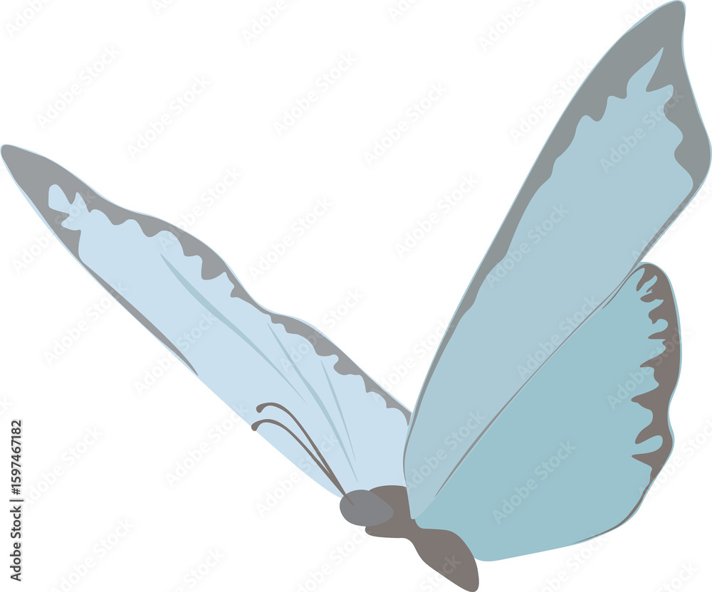 Fototapeta premium Elegant blue butterfly resting in a peaceful, sunlit natural setting