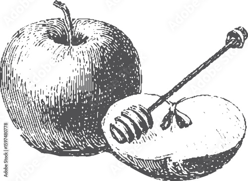 Apple and honey with dipper in black and white sketch style. Rosh Hashanah symbol food vector illustration.