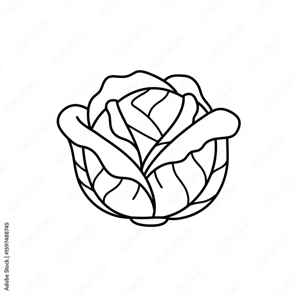 Obraz premium Outline of a cabbage in a simple vector style 