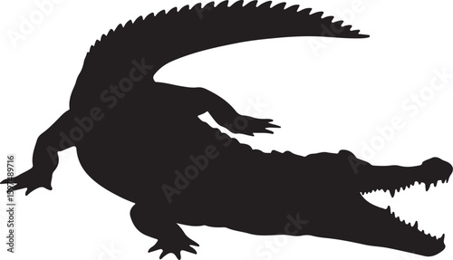 Silhouette of crocodile with open mouth, side view, wildlife animal, predatory reptile