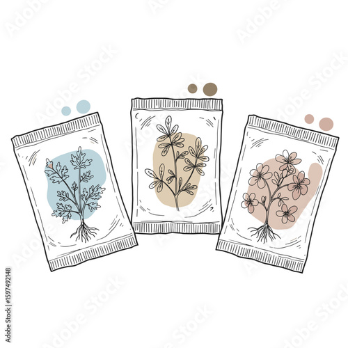 Seed packets with illustrated flowers in minimalist style  