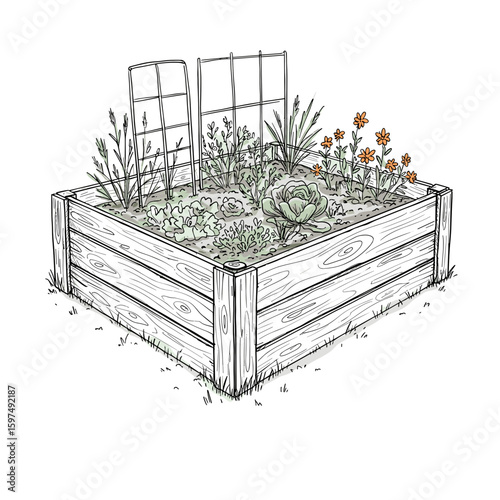 Vegetable garden bed with plants and flowers in sketch style  