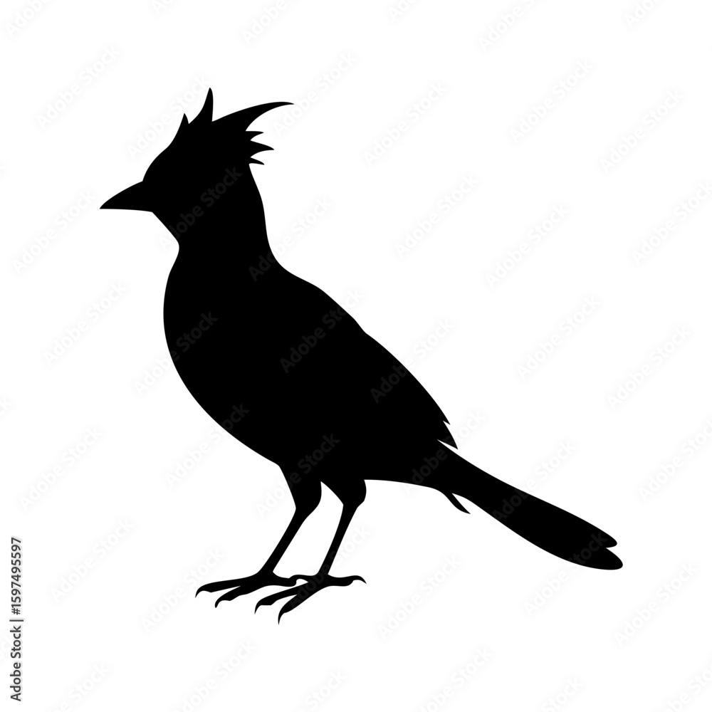 Standing Crested Bird Silhouette - Generic Avian Outline Standing Crested Bird Silhouette - Generic Avian Outline