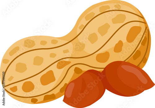 Peanuts on white background. Whole and peeled peanuts, tasty snack nuts isolated on white background. Vector illustration