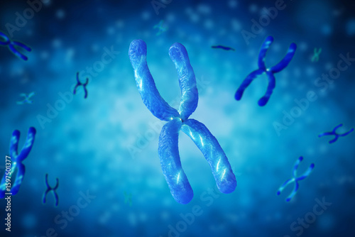 Blue chromosome x through microscope