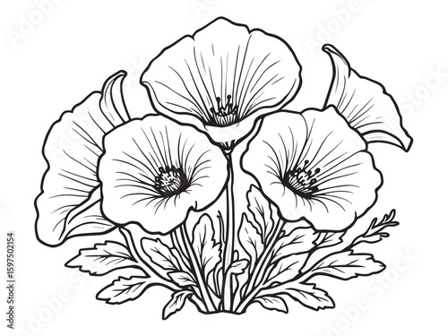 coral bells outline drawing